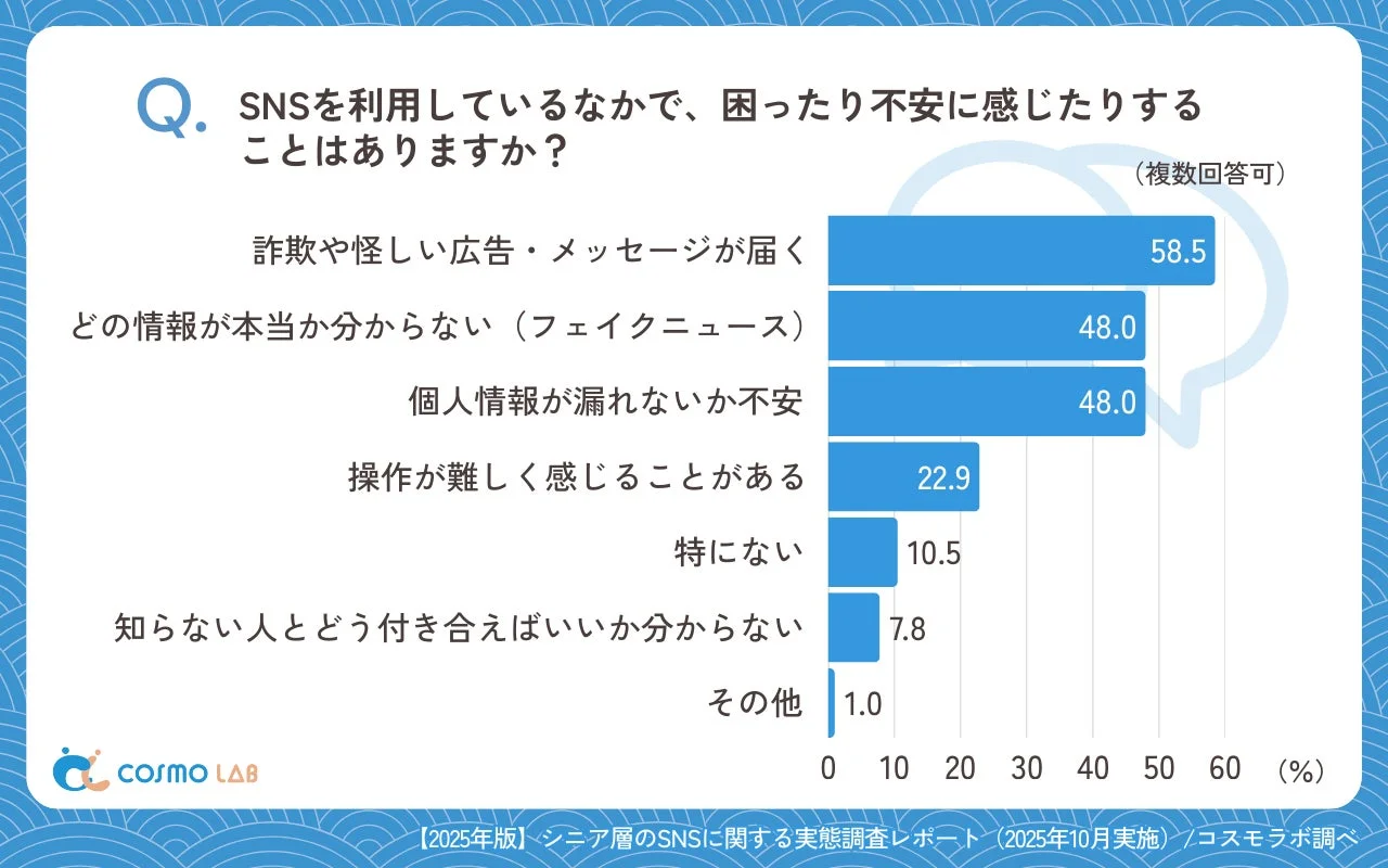 SNS利用におけるシニア層の困りごとや不安に関するアンケート結果を示す棒グラフ。詐欺・怪しい広告、フェイクニュース、個人情報漏洩への不安が上位を占めています。