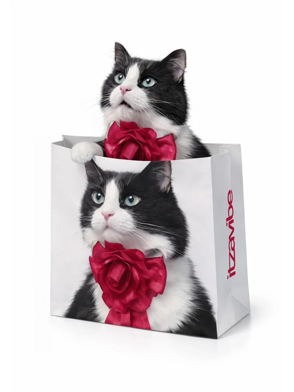 猫のギフトバッグ